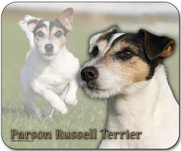 Mousepad Parson Russell Terrier #4